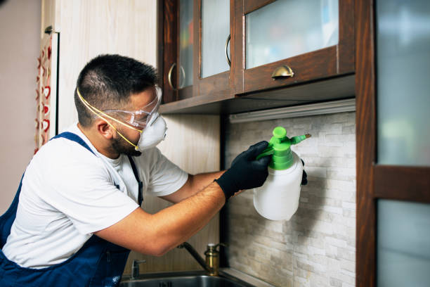Drain, OR Pest Control Company