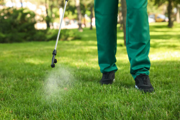 Best Termite Control Services  in Drain, OR
