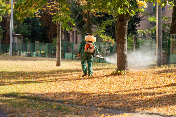Best Bed Bug Extermination  in Drain, OR
